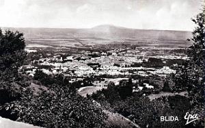 Blida - Ville des roses